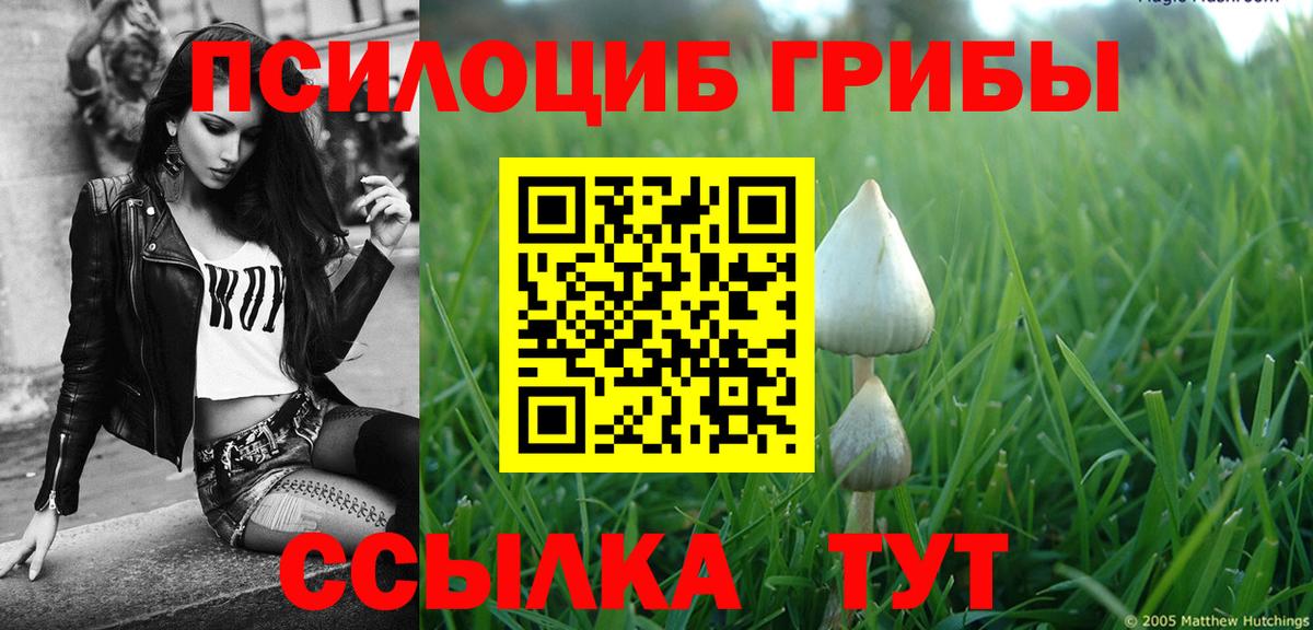 Галлюциногенные грибы мухоморы Кострома